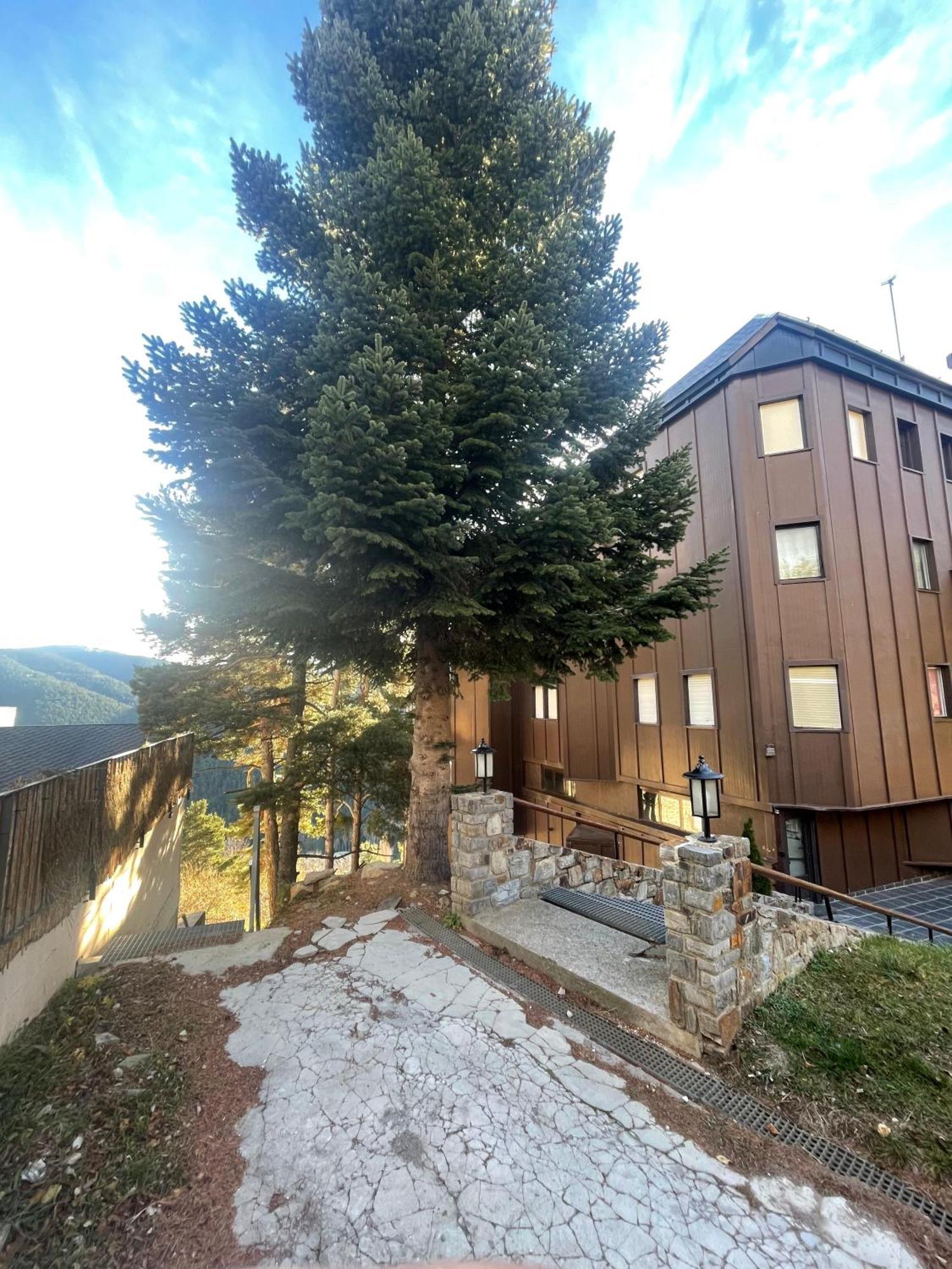 Apartamento Acogedor En La Molina, 2Hab, Wi Fi Λα Μολίνα Εξωτερικό φωτογραφία